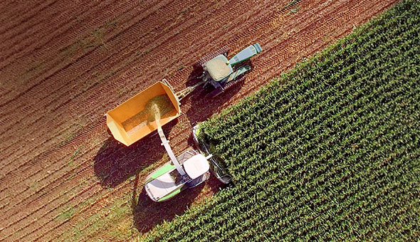 How to Build Resilient and Efficient Food and Beverage Operations
