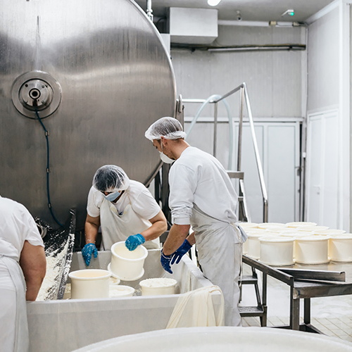 Une coopérative laitière réalise des gains de productivité et des économies